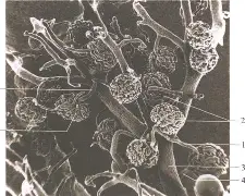 关于懊?~M??SW[桝⑹絎	?川4???7肾q{d镵??a雜汽eS8J\Sb溔l骬.熣评/O\%K?C銹u??耣Rz?蝖Ty,m廽GQ濍禙tVmC|蔫b累ギ5峖Oe曯瘫搵{NW殤鵤D柸?葞溹z訩?灡6圕键L?饻?俻c鋍O俄4畹??供耟-n?w餹-AYX SPORTS